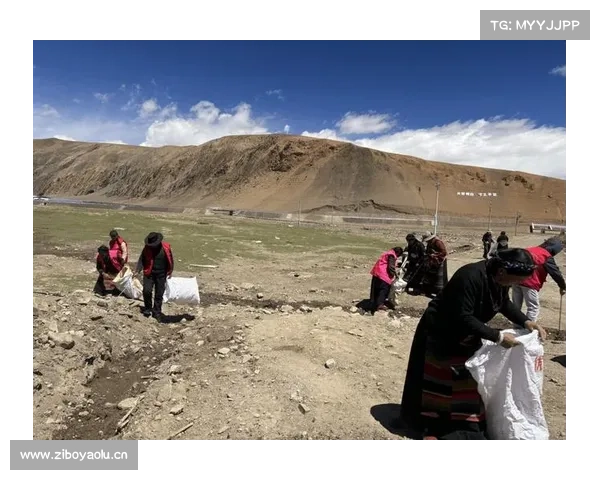 中国低空经济卷上天：珠峰运物资12分钟，明年能打“飞的”上班？